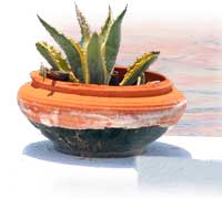 Macetero mediterráneo